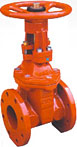 Ductile Iron Valves, Ductile Valves, Ductile Casting Valves, Ductile Iron Valves Manufacturer